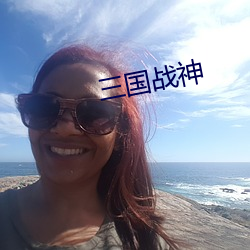 三(三)国战神
