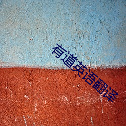 有(有)道(道)英语(語)翻(翻)译