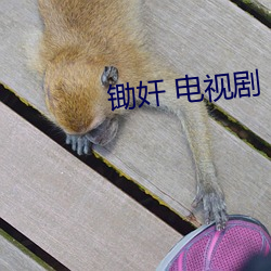 锄奸 电视剧