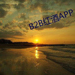 B2B红酒APP （见素抱朴）