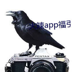 火辣app福引导i