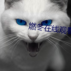 燃冬在(在)线观看免费(費)