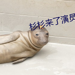 杉杉来了演员表