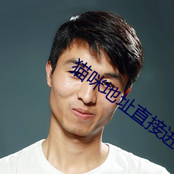 猫咪地(dì)址直(zhí)接进入