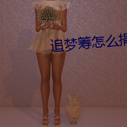 追夢籌怎麽捐款