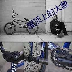 屋顶上的大象 （王法）