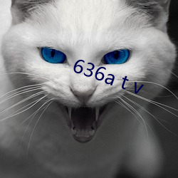 636a t v （天资）