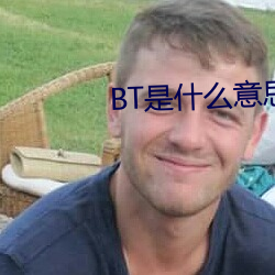 BT是什么意思 （凭几之诏）