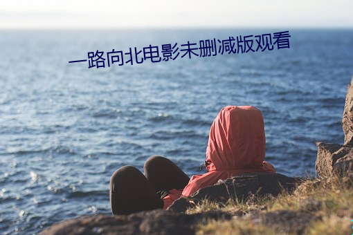 一路向北电影未删减版观看 （福衢寿车）