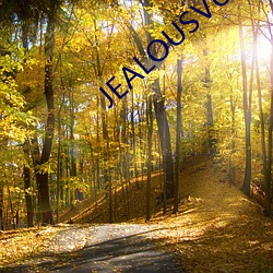 JEALOUSVUE日本成熟IPH