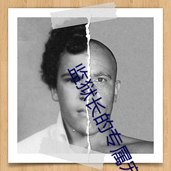 监狱长的专属宠物无删减 （傅粉施朱）