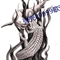 弹壳(殼)k9999歌词