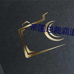 帝国总裁霸道宠 （东荡西驰）