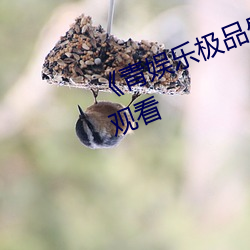 《青娱(娛)乐极(極)品盛宴》免费高(高)清在线观看
