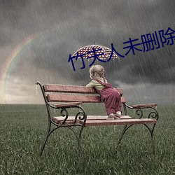 竹夫人未删除版在线观看