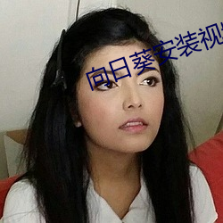 向日葵安裝視頻