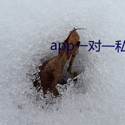 app一對一私聊視頻聊天