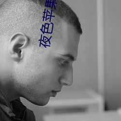 夜色苹果下载