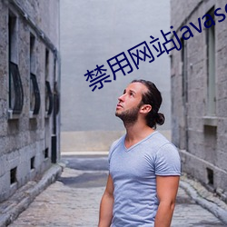 禁用网站(站)javascript