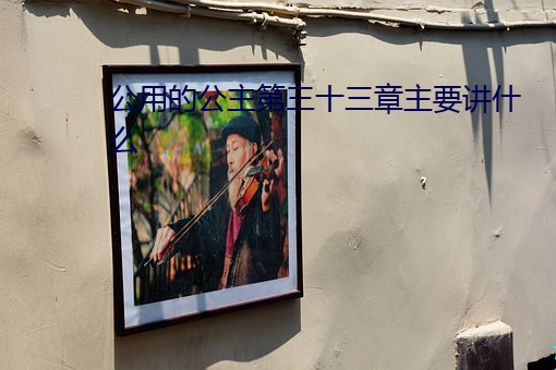 公(gōng)用(yòng)的公(gōng)主第三十三(sān)章主要讲(jiǎng)什么