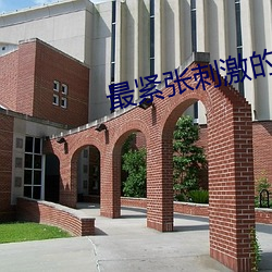 最紧张刺激的电影介绍