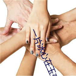 一片冰心在玉壶的上一句是什么