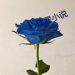 心(心)理罪小说(說)
