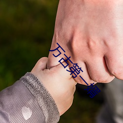 万古第一婿 （添砖加瓦）