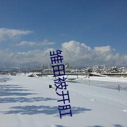 雏田被开肛 （聊复尔尔）