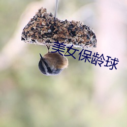 美女(nǚ)保(bǎo)龄球