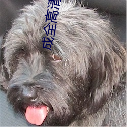 成全高清视(shì)频免(miǎn)费观(guān)看