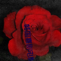 韩国喜剧电影