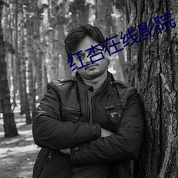 红杏(杏)在线影(影)院(院)