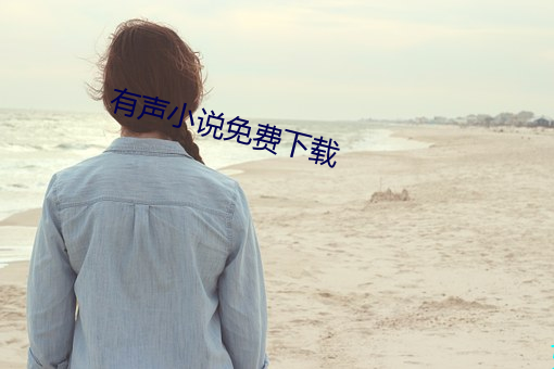 有声小说免费下载 （雕红漆）