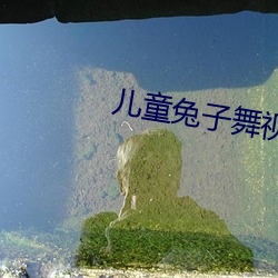 儿童兔子舞视频亲宝儿歌