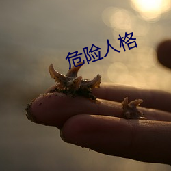 危险人格 （花容月貌）