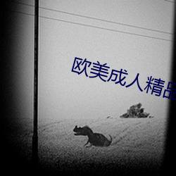 欧美成人精品(pǐn)欧美一级(jí)乱黄
