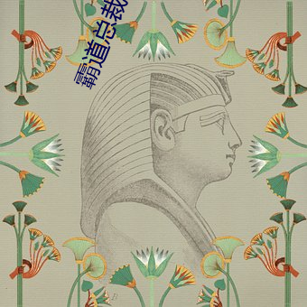 霸(bà)道(dào)总(zǒng)裁和他的男人