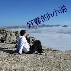 好看的h小说 （求田问舍）