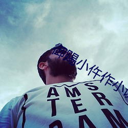 御赐小仵作小说 （赴汤蹈火）