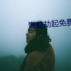 青蛇劫起免费(費)观看(看)高清(清)版完