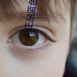 正品藍色檸檬