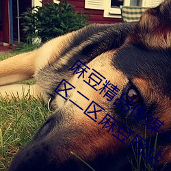 麻(麻)豆精品传媒一(一)二三区入口:国产91精(精)品一区二区麻豆网(網)站