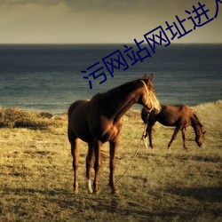 汙網站網址進入