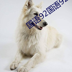 国语92国语92午夜福利2023