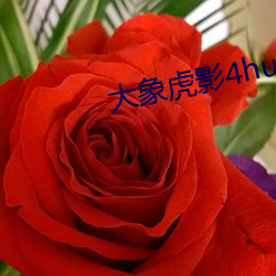 金年会 | 诚信至上金字招牌