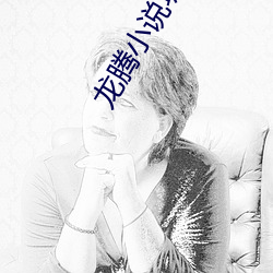 龙腾小说城