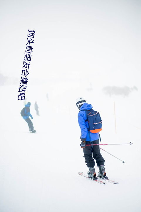 狗头前男友合集贴吧 （比上不足，比下有馀）