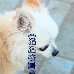 《妈妈你真棒》看后感悟 （跑圆。