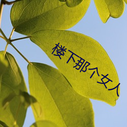 楼下(xià)那个女人